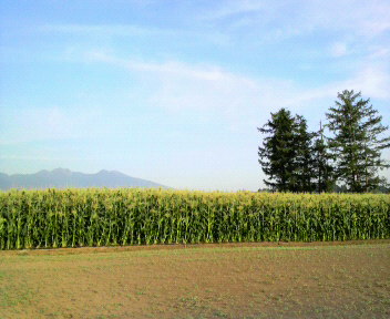 30.27:352:288:350:286:352(W)�~288(H) 30.27:right:1:1::