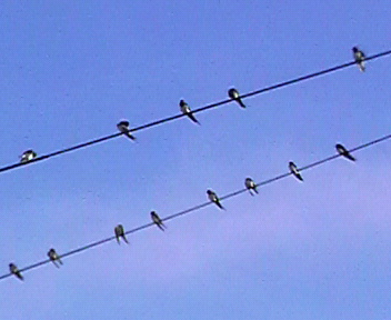 37.46:352:288:350:286:352(W)�~288(H) 37.46:right:1:1::