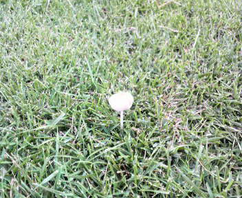 33.76:352:288:350:286:352(W)�~288(H) 33.76:right:1:1::