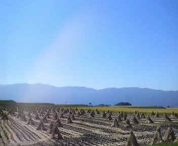 30.65:352:288:350:286:352(W)�~288(H) 30.65:right:1:1::