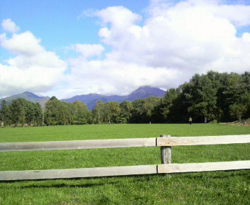 32.17:352:288:350:286:352(W)�~288(H) 32.17:right:1:1::