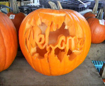 30.24:352:288:350:286:352(W)�~288(H) 30.24:right:1:1::