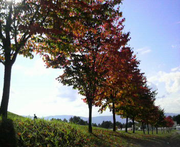 32.18:352:288:350:286:352(W)�~288(H) 32.18:right:1:1::