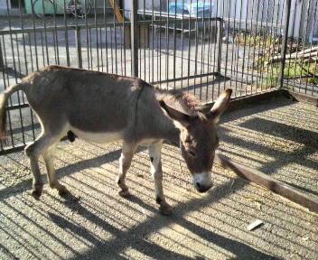 34.73:352:288:350:286:352(W)�~288(H) 34.73:right:1:1::