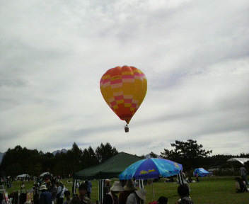 33.93:352:288:350:286:352(W)�~288(H) 33.93:right:1:1::