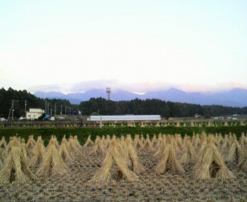 34.47:352:288:350:286:352(W)�~288(H) 34.47:right:1:1::