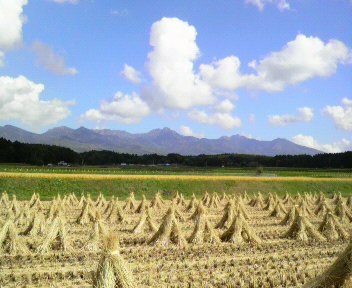 31.34:352:288:350:286:352(W)�~288(H) 31.34:right:1:1::