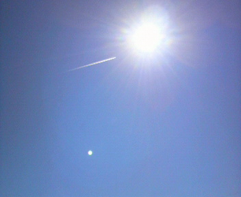 33.49:352:288:350:286:352(W)�~288(H) 33.49:right:1:1::