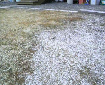 33.82:352:288:350:286:352(W)�~288(H) 33.82:right:1:1::