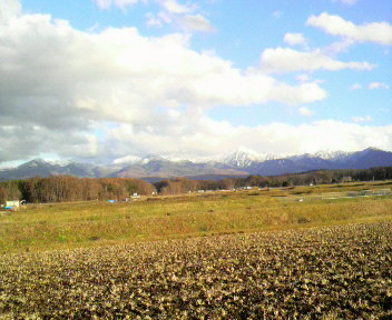 31.82:352:288:350:286:352(W)�~288(H) 31.82:right:1:1::