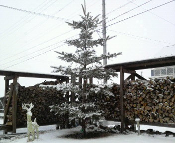 33.74:352:288:350:286:352(W)�~288(H) 33.74:right:1:1::