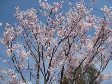 23.27:360:270:350:263:360(W)�~270(H) 23.27:right:1:1::