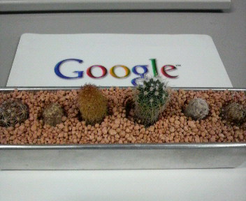 31.57:352:288:350:286:352(W)�~288(H) 31.57:right:1:1::