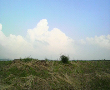 32.75:352:288:350:286:352(W)�~288(H) 32.75:right:1:1::