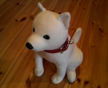 31.81:352:288:350:286:352(W)�~288(H) 31.81:right:1:1::