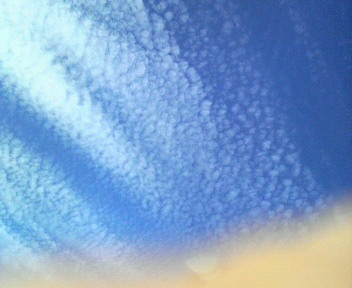 32.01:352:288:350:286:352(W)�~288(H) 32.01:right:1:1::