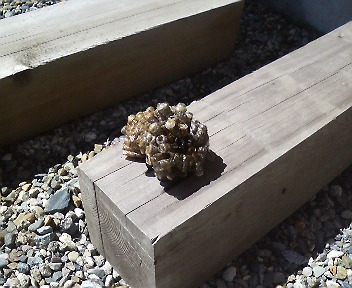 45.93:352:288:350:286:352(W)�~288(H) 45.93:right:1:1::