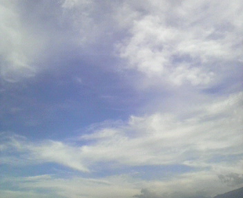 35.3:352:288:350:286:352(W)�~288(H) 35.3:right:1:1::