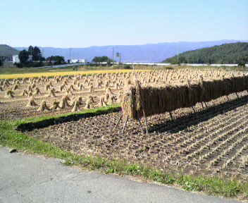 32.07:352:288:350:286:352(W)�~288(H) 32.07:right:1:1::